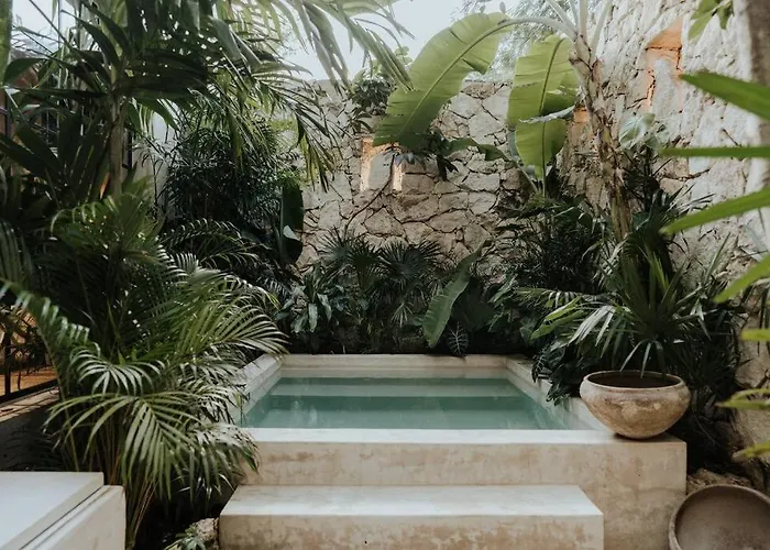 Tropical Design Dream With Private Pool