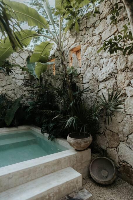 Tropical Design Dream With Private Pool Tulum