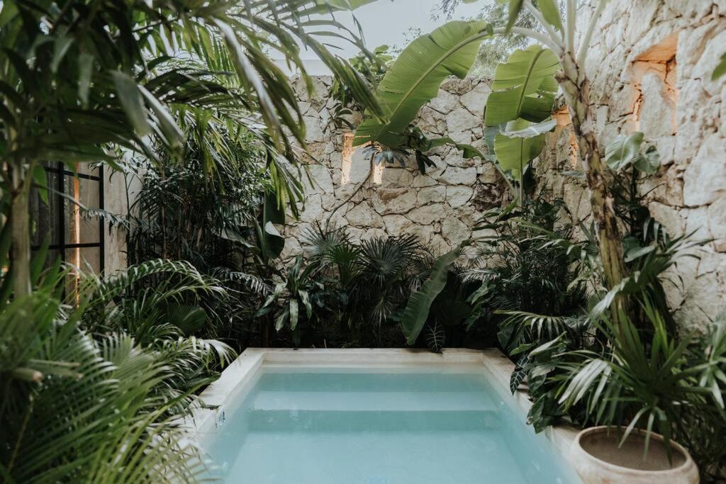 Tropical Design Dream With Private Pool Apartamento Tulum