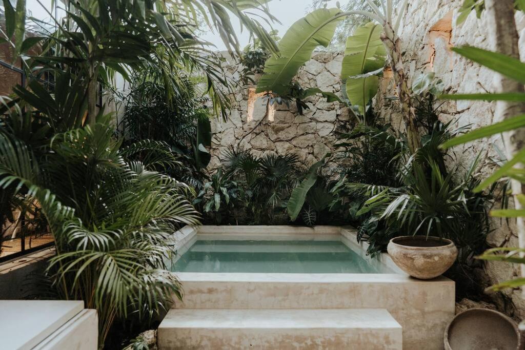 Apartamento Tropical Design Dream With Private Pool